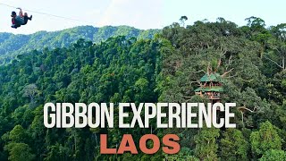 GIBBON EXPERIENCE LAOS  4K [upl. by Jecon]