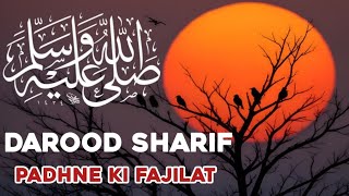 Darood Sharif Padhne Ki Fajilat Or Faydeyoutubevideo islamicvideo daroodsharif daroodepaak [upl. by Maren653]