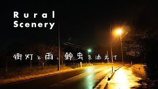 【 ASMR 4K 】 田舎の風景 夜の外灯と雨、鈴虫を添えて [upl. by Niwri645]