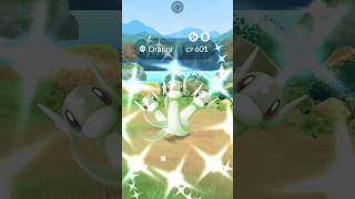 When Shiny Dratini Surprise me badly 😳 Pokemon go [upl. by Alika]