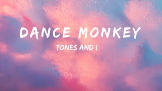 dance monkey   Tones and I [upl. by Seuqirdor]