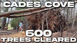 600 FALLEN TREES CLEARED FROM CADES COVE AFTER 90 MPH WINDS [upl. by Ahseuqal]