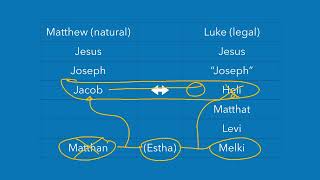 Biblical Contradictions Jesus Genealogy [upl. by Mortie502]