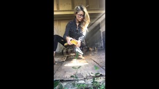 The Bee Removal Video That Went Viral on TikTok [upl. by Cath]