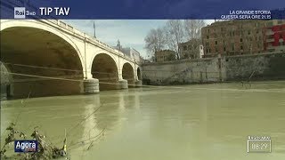 Tevere da bere  Agorà Estate 27072018 [upl. by Cohby490]