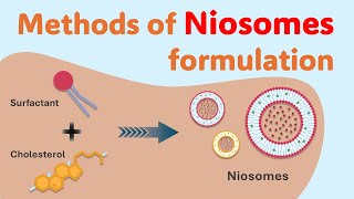 Mastering Niosomes Preparation Techniques  Methods of Niosomes preparation  Niosomes synthesis [upl. by Neeluj104]