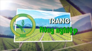 Trang Nông nghiệp 5112024 Truyền hình Quảng Trị [upl. by Narmak]