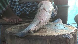 GIANT CATLA FISH CUTTING BY EXPERT FISH CUTTER  BANGLADESH FISH [upl. by Ennej]