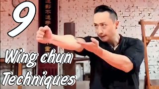 9 WING CHUN FIGHTING TECHNIQUES  KUNG FU SKILLS [upl. by Ehpotsirhc]