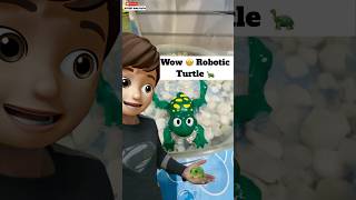 Wow 🤩 Robotic Turtle 🐢  minivlog [upl. by Gardell]