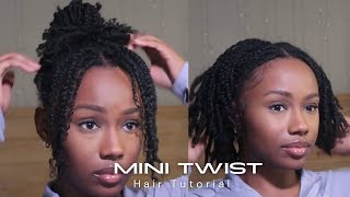 The BEST way to do MINI TWIST that LAST protectivestyles Tutorial [upl. by Sirred408]