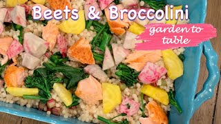 Beets Broccolini Salmon and Couscous Salad shorts [upl. by Atilam9]