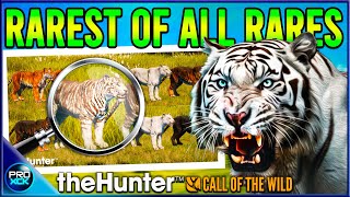 ALL Info about Bengal Tigers  Rare Fur Types and Insane Details  theHunter Call of the Wild [upl. by Lenox]