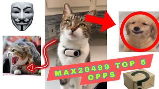 Max20499 the bully cat  TOP 5 OPPS  😈 max2049 maxthecat max20499 [upl. by Flosi]