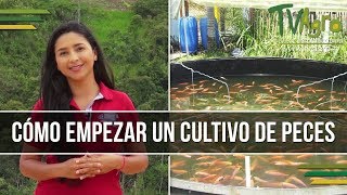 Como empezar un Cultivo de Peces  Piscicultura  TvAgro por Juan Gonzalo Angel [upl. by Tonkin]