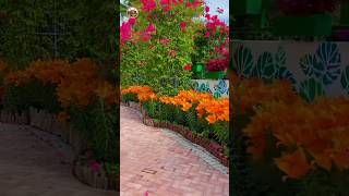 Flowers garden 🏡  spring nature  SMHousevlog  shorts [upl. by Ulla761]