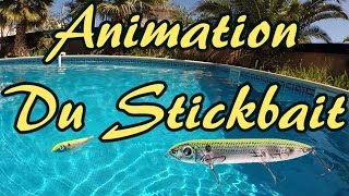 Comment ANIMER un STICKBAIT  How to Fish a TOPWATER WALKING BAIT  WTD 🇺🇸 [upl. by Dew681]