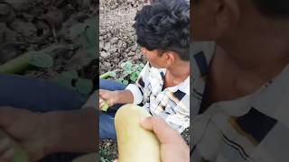 😄 Vishnu Bhil New Timli video 2025 adivasitimli [upl. by Theola681]