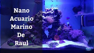 🔵 Nano Acuario Marino De 60 Litros De Raúl Acuarios MB [upl. by Atiuqrahc]