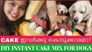 How to make cake for dogs  Instant Cake Mix For Dogs dogs vloggeraswani petvlogsmalayalam [upl. by Shig]