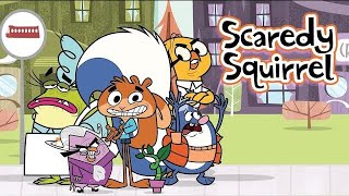 Scaredy Squirrel Season 1 Episode 2  Children of the Acorn Awaken the Stacker Within [upl. by Daphie161]