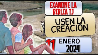 🔵USEN LA CREACIÓN ✅ EXAMINE LA BIBLIA TJ [upl. by Ahsener174]