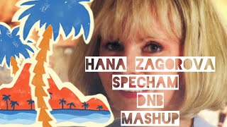 Hana Zagorová Spěchám DNB mashup X Ed Solo full tank [upl. by Sadella]