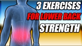 3 Exercises To Strengthen Your Lower Back [upl. by Alamap]