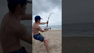 😱13 Foot Tiger Shark😱 shorts fishing lbsf shark beach ocean waves lisharkman wow huge [upl. by Aronoel]