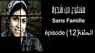 MA9TOU3 MEN CHAJARA SANS FAMILLE Épisode مقطوع من شجرة الحلقة 12 [upl. by Fishman462]