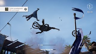 Assassins Creed Origins  Hippodrome Race Nike’s Winged Tournament Ben Hur and Road Race trophy [upl. by Uchida]