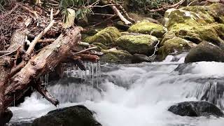 Peaceful Stream Sounds in Nature for Restful Sleep and Inner Relaxation [upl. by Adnerad]