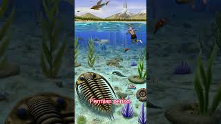 Trilobites Ancient Sea Creatures from 500 Million Years Agoquot [upl. by Rehpotsirk]