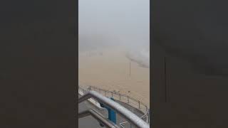 Rabbitohs training under the fog at Coogee Beach [upl. by Ares495]