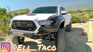 Dirt King Built Long Travel 3rd Gen Toyota Tacoma [upl. by Nettirb]