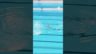 🇲🇽 Diego Villalobos Carrillo golden performance at the Artistic Swimming Junior Championships 2024 [upl. by Keyser]