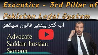 Executive The third Pillar  Pakistan legal System [upl. by Shari]