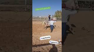 montar con la garrocha costablanca hipica foryou equestrian feelgood garrocha caballo [upl. by Anilag159]