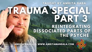 Trauma Special Part 3 Reintegrating Dissociated Parts of the Psyche complextrauma traumahealing [upl. by Ragde106]