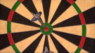 PDC Grand Slam of Darts 2013  All the Finishes [upl. by Nevar953]