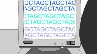 How to Sequence a Genome 11 Working Draft Sequence [upl. by Kersten]