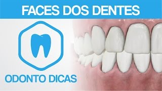 FACES DOS DENTES  ODONTO DICAS [upl. by Ahsitak]