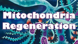 ❉ Powerful Mitochondria Rejuvenation  High Energy  Best Health  Youth  Relaxing Ocean Sounds [upl. by Marx]