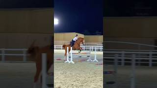 horse eventing equestrian blowup viralvideo ponyhorse horsegirl horsetype fyp [upl. by Nerraf]