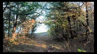 A Hike Through the Johnson Branch of Ray Roberts Lake State Park [upl. by Gnoy]