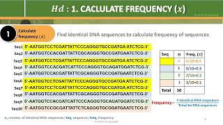 Haplotype diversity Hd A StepByStep Example [upl. by Patterman604]