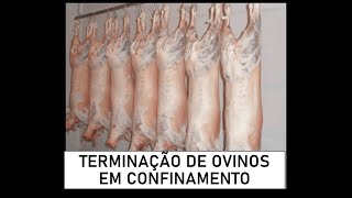 Aula 10  Terminação de ovinos em confinamento [upl. by Lipski]