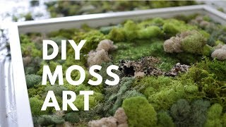 DIY MOSS ART  DONE SIMPLY [upl. by Gilly]