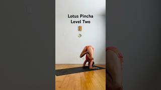 Yoga Lotus Pose Inversion 10 Ways 🙃 V6 Level Two Pincha Mayurasana 🙃 Yoga Girl Flexibility [upl. by Nugent]