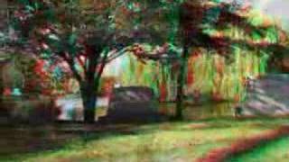 3D Anaglyph Movie  Graceland Graveyard Chicago [upl. by Weathers944]